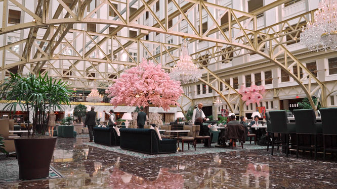 Waldorf Astoria Washington D.C. Cherry Blossoms